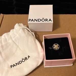 Harry Potter Pandora Charm